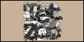 Tetrapod Zoology (Science)